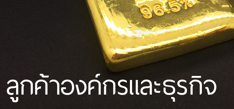 ลูกค้าองค์กรและธุรกิจ