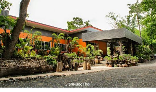 นวดน้ำมัน