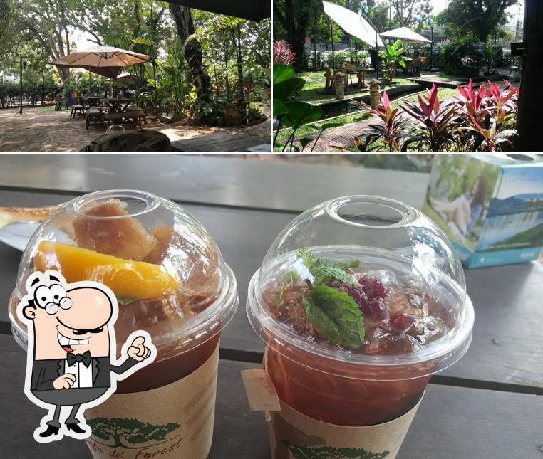 ภายนอก Cafe De Forest ท่ามกลางต้นไม้ใหญ่