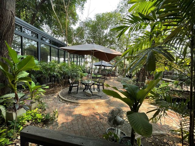 Cafe De Forest บรรยากาศป่ากลางเมือง