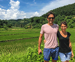 Northern Thailand Rice Field