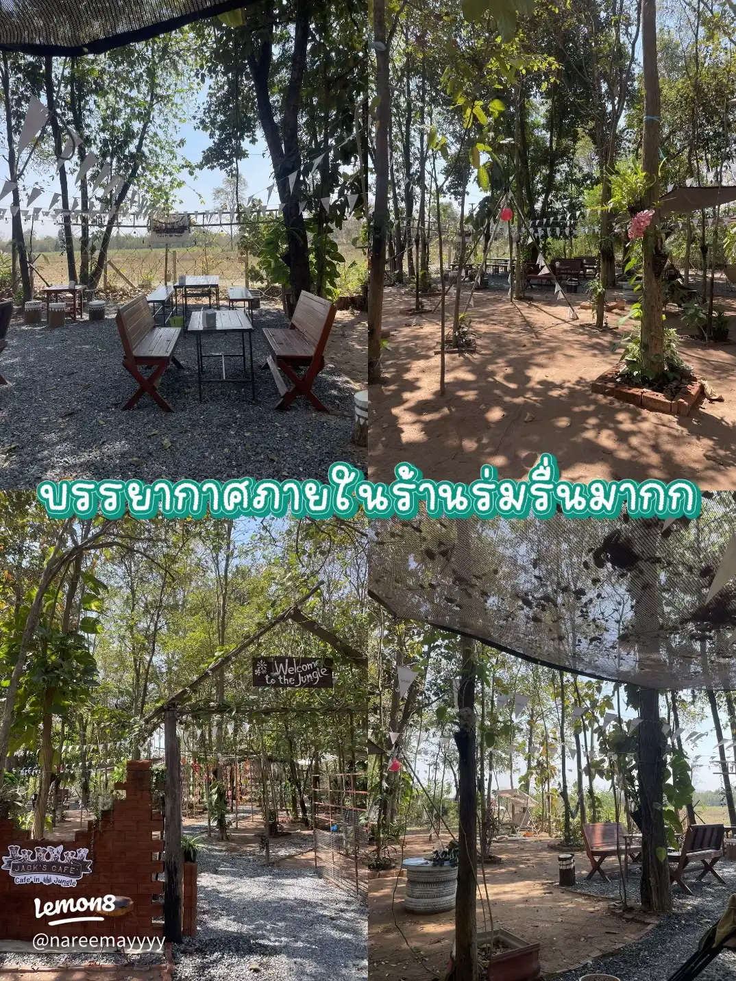 สวนป่าร่มรื่นภายใน Jack's Cafe