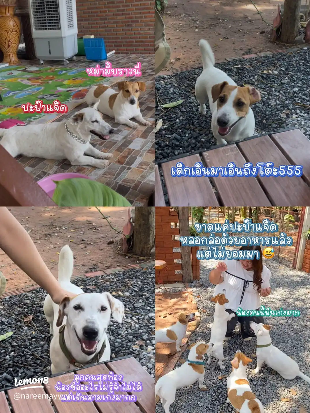 เครื่องดื่มเย็นชื่นใจ