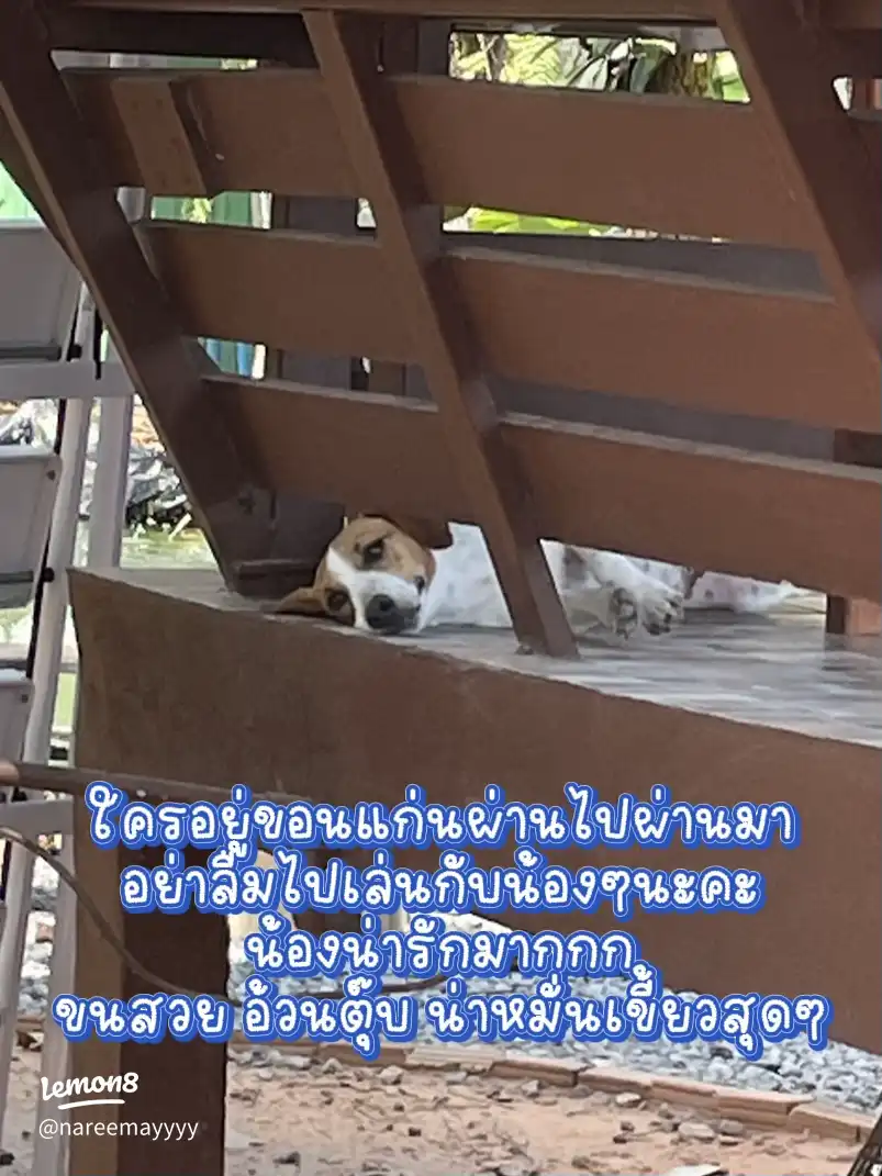อาหารจานเด็ด